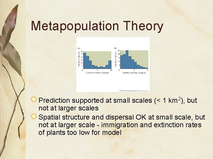 Metapopulation Theory Prediction supported at small scales (< 1 km 2), but not at