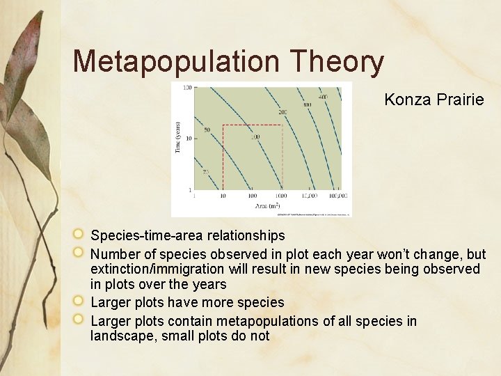 Metapopulation Theory Konza Prairie Species-time-area relationships Number of species observed in plot each year