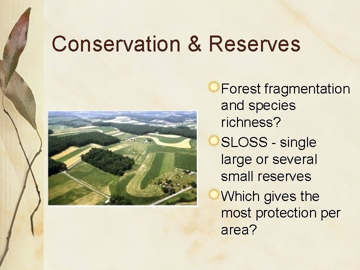Conservation & Reserves Forest fragmentation and species richness? SLOSS - single large or several