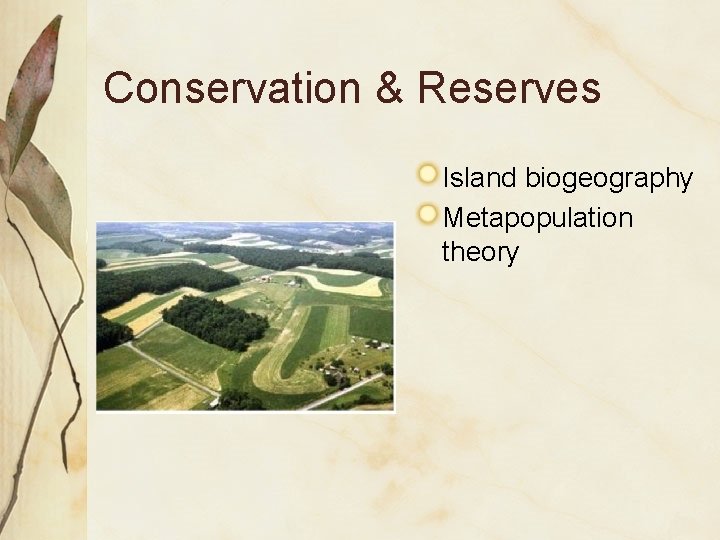 Conservation & Reserves Island biogeography Metapopulation theory 