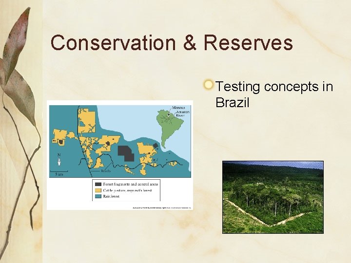 Conservation & Reserves Testing concepts in Brazil 