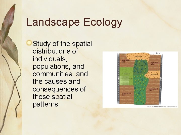 Landscape Ecology Study of the spatial distributions of individuals, populations, and communities, and the
