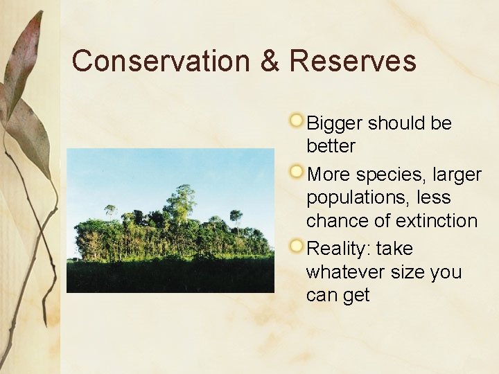 Conservation & Reserves Bigger should be better More species, larger populations, less chance of