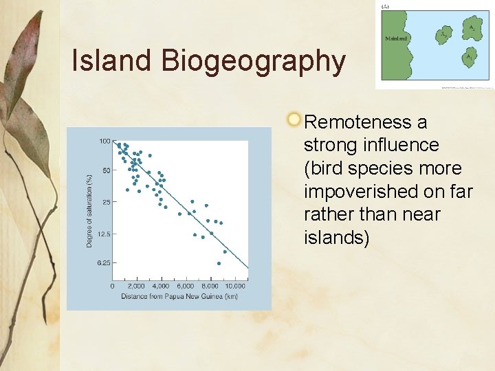 Island Biogeography Remoteness a strong influence (bird species more impoverished on far rather than