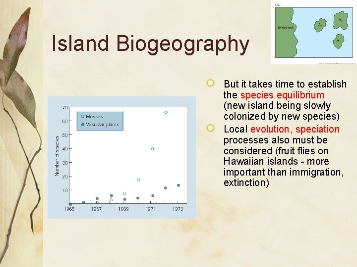 Island Biogeography But it takes time to establish the species equilibrium (new island being