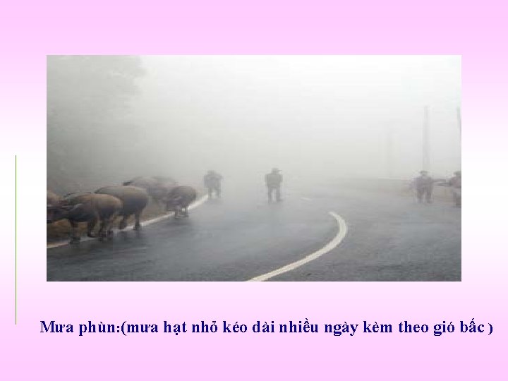 Mưa phùn: (mưa hạt nhỏ kéo dài nhiều ngày kèm theo gió bấc )