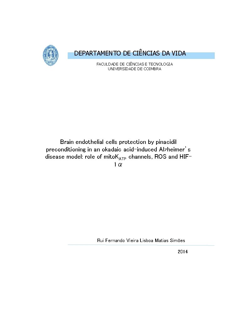 DEPARTAMENTO DE CIÊNCIAS DA VIDA FACULDADE DE CIÊNCIAS E TECNOLOGIA UNIVERSIDADE DE COIMBRA Brain