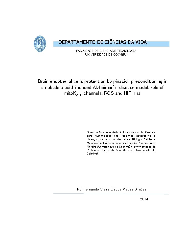 DEPARTAMENTO DE CIÊNCIAS DA VIDA FACULDADE DE CIÊNCIAS E TECNOLOGIA UNIVERSIDADE DE COIMBRA Brain