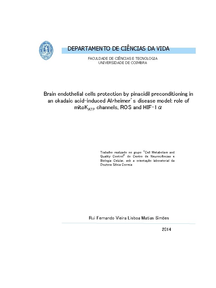 DEPARTAMENTO DE CIÊNCIAS DA VIDA FACULDADE DE CIÊNCIAS E TECNOLOGIA UNIVERSIDADE DE COIMBRA Brain