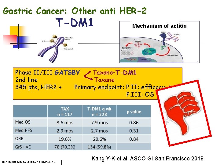 Gastric Cancer: Other anti HER-2 T-DM 1 Mechanism of action Phase II/III GATSBY Taxane-T-DM Gastric Cancer: Other anti HER-2 T-DM 1 Mechanism of action Phase II/III GATSBY Taxane-T-DM