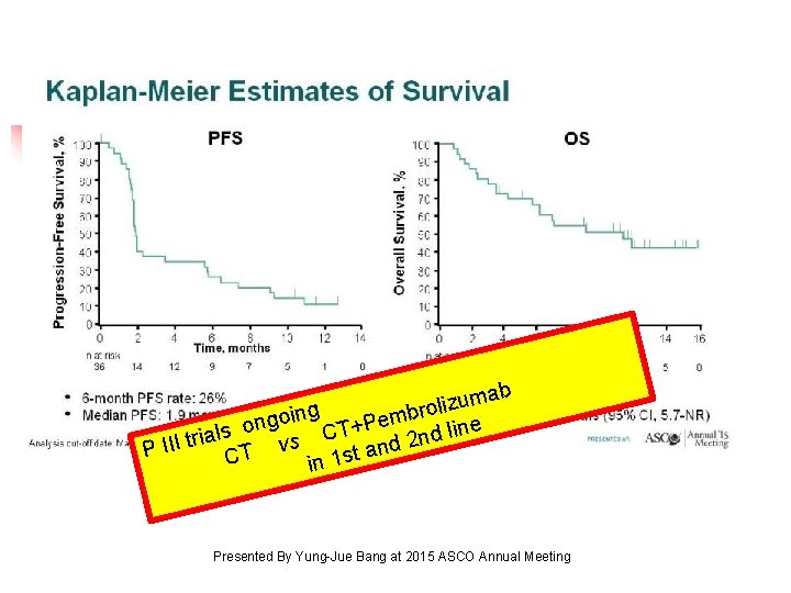 Kaplan-Meier Estimates of Survival b ma u z i l o going T+Pembr line Kaplan-Meier Estimates of Survival b ma u z i l o going T+Pembr line
