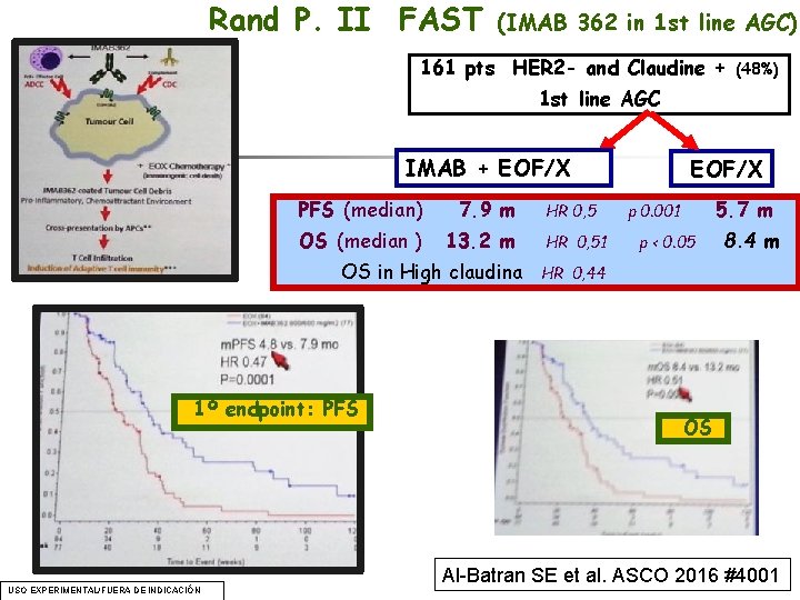 Rand P. II FAST (IMAB 362 in 1 st line AGC) 161 pts HER Rand P. II FAST (IMAB 362 in 1 st line AGC) 161 pts HER