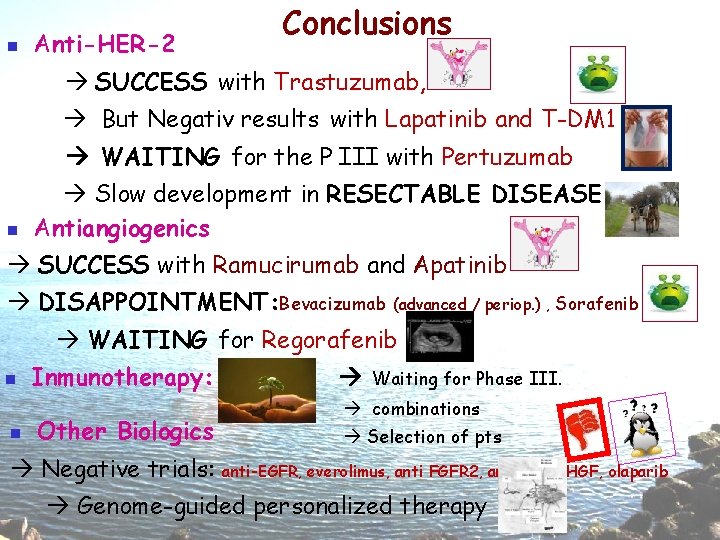 n Anti-HER-2 Conclusions SUCCESS with Trastuzumab, But Negativ results with Lapatinib and T-DM 1 n Anti-HER-2 Conclusions SUCCESS with Trastuzumab, But Negativ results with Lapatinib and T-DM 1