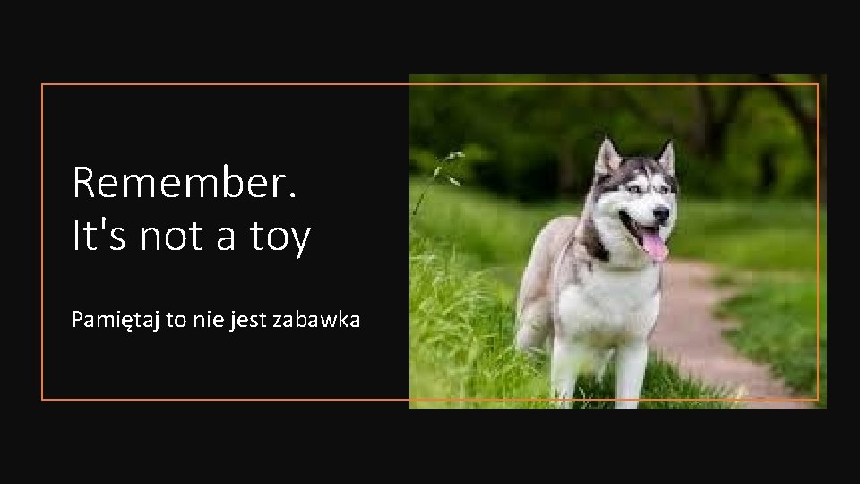 Remember. It's not a toy Pamiętaj to nie jest zabawka 