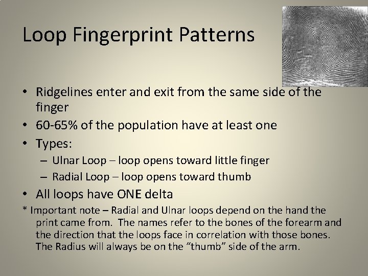Loop Fingerprint Patterns • Ridgelines enter and exit from the same side of the Loop Fingerprint Patterns • Ridgelines enter and exit from the same side of the