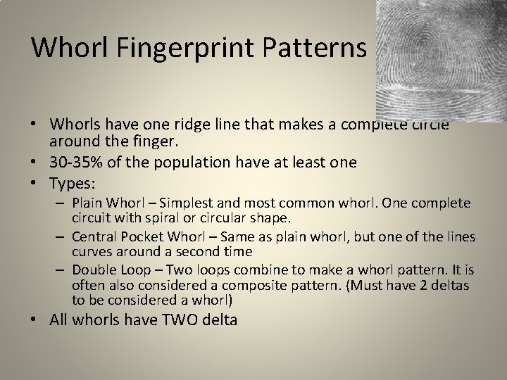 Whorl Fingerprint Patterns • Whorls have one ridge line that makes a complete circle Whorl Fingerprint Patterns • Whorls have one ridge line that makes a complete circle