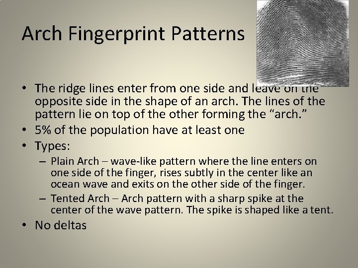 Arch Fingerprint Patterns • The ridge lines enter from one side and leave on Arch Fingerprint Patterns • The ridge lines enter from one side and leave on