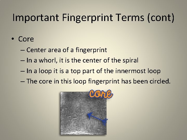 Important Fingerprint Terms (cont) • Core – Center area of a fingerprint – In Important Fingerprint Terms (cont) • Core – Center area of a fingerprint – In