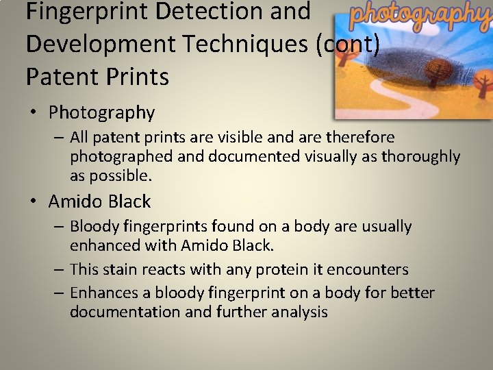Fingerprint Detection and Development Techniques (cont) Patent Prints • Photography – All patent prints Fingerprint Detection and Development Techniques (cont) Patent Prints • Photography – All patent prints