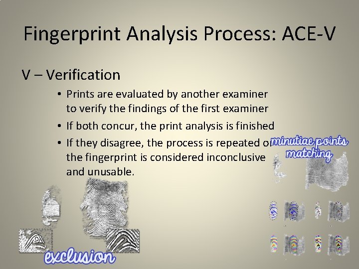 Fingerprint Analysis Process: ACE-V V – Verification • Prints are evaluated by another examiner Fingerprint Analysis Process: ACE-V V – Verification • Prints are evaluated by another examiner