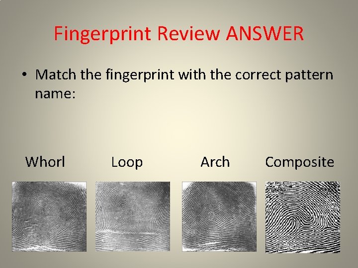 Fingerprint Review ANSWER • Match the fingerprint with the correct pattern name: Whorl Loop Fingerprint Review ANSWER • Match the fingerprint with the correct pattern name: Whorl Loop