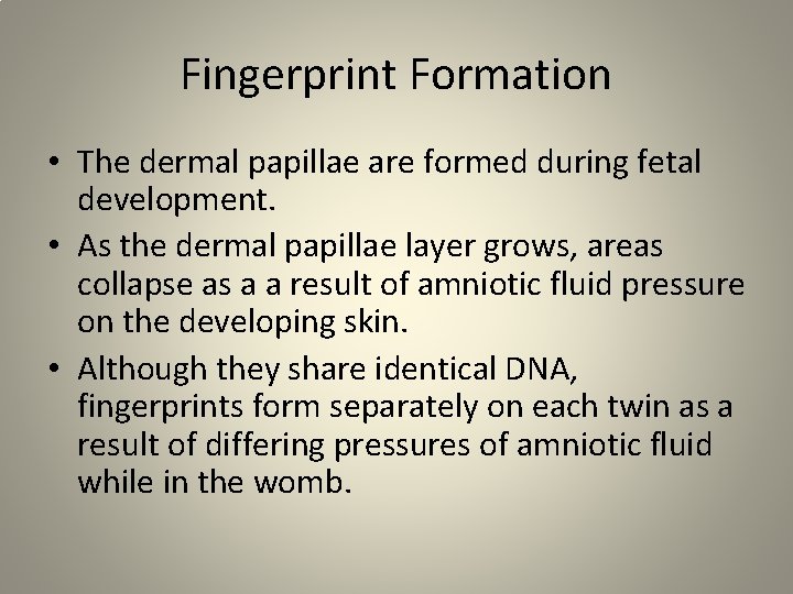 Fingerprint Formation • The dermal papillae are formed during fetal development. • As the Fingerprint Formation • The dermal papillae are formed during fetal development. • As the