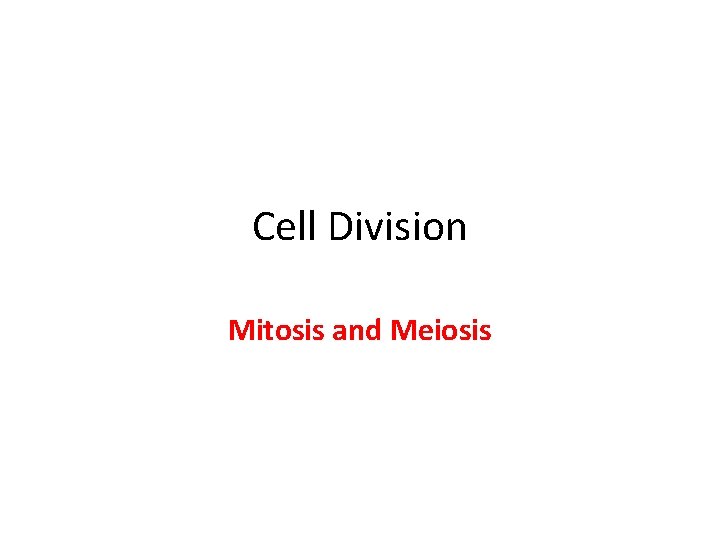 Cell Division Mitosis and Meiosis 