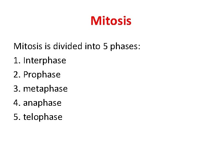 Mitosis is divided into 5 phases: 1. Interphase 2. Prophase 3. metaphase 4. anaphase