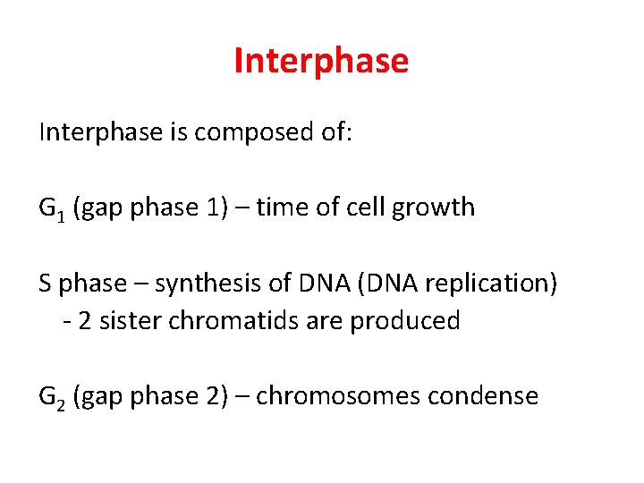 Interphase is composed of: G 1 (gap phase 1) – time of cell growth