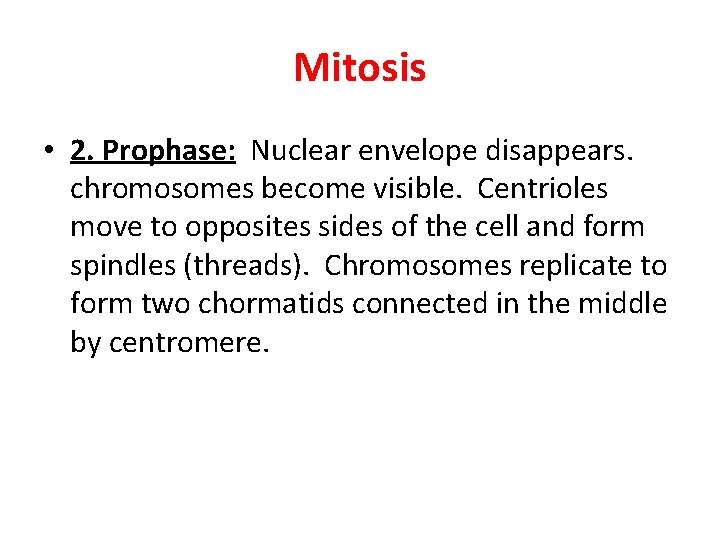 Mitosis • 2. Prophase: Nuclear envelope disappears. chromosomes become visible. Centrioles move to opposites