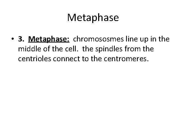 Metaphase • 3. Metaphase: chromososmes line up in the middle of the cell. the