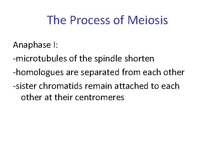 The Process of Meiosis Anaphase I: -microtubules of the spindle shorten -homologues are separated