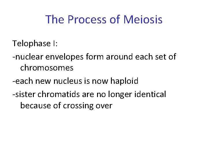 The Process of Meiosis Telophase I: -nuclear envelopes form around each set of chromosomes