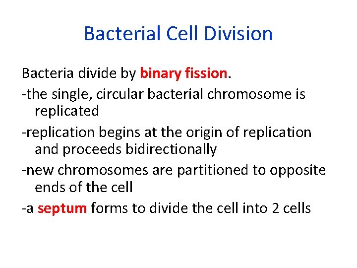 Bacterial Cell Division Bacteria divide by binary fission. -the single, circular bacterial chromosome is