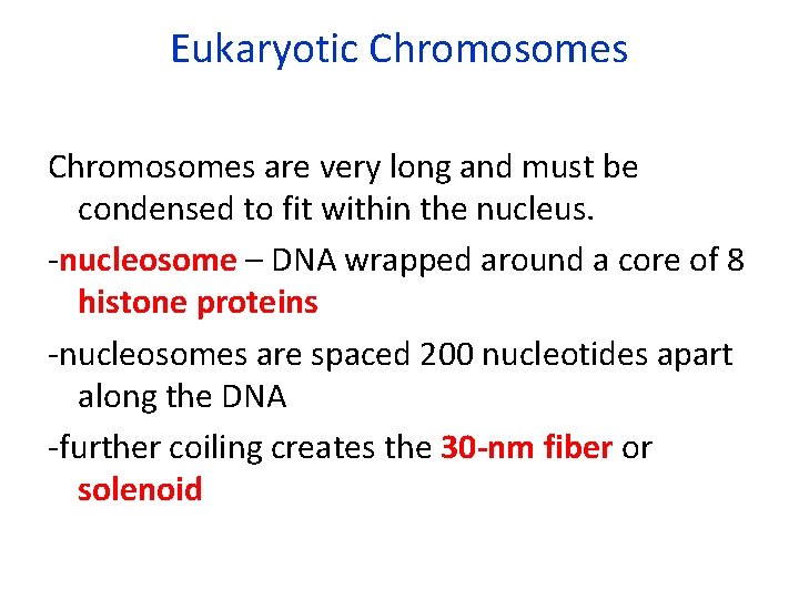 Eukaryotic Chromosomes are very long and must be condensed to fit within the nucleus.