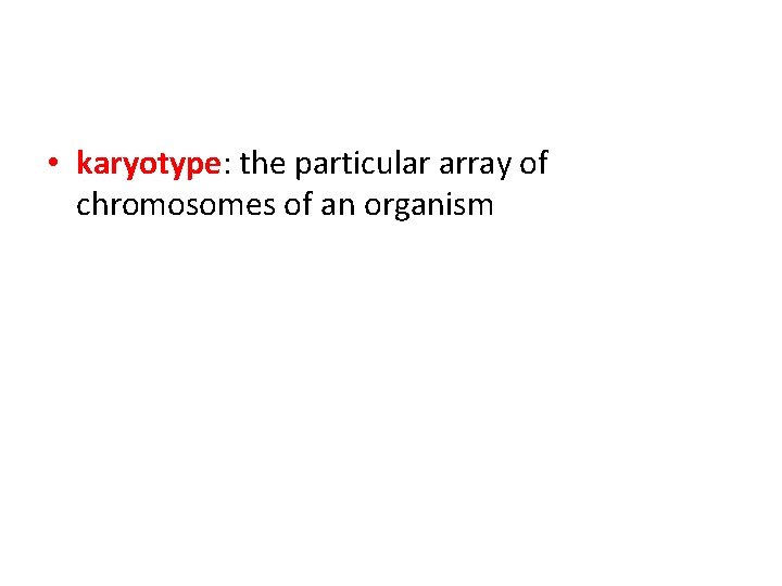  • karyotype: the particular array of chromosomes of an organism 