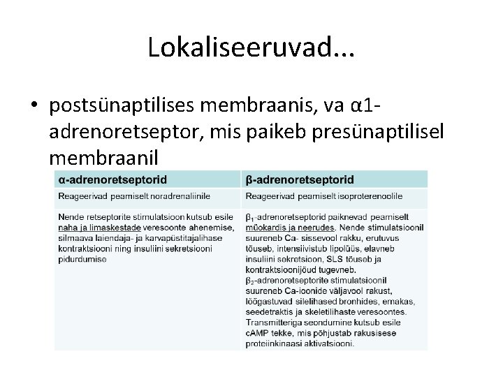 Lokaliseeruvad. . . • postsünaptilises membraanis, va α 1 adrenoretseptor, mis paikeb presünaptilisel membraanil