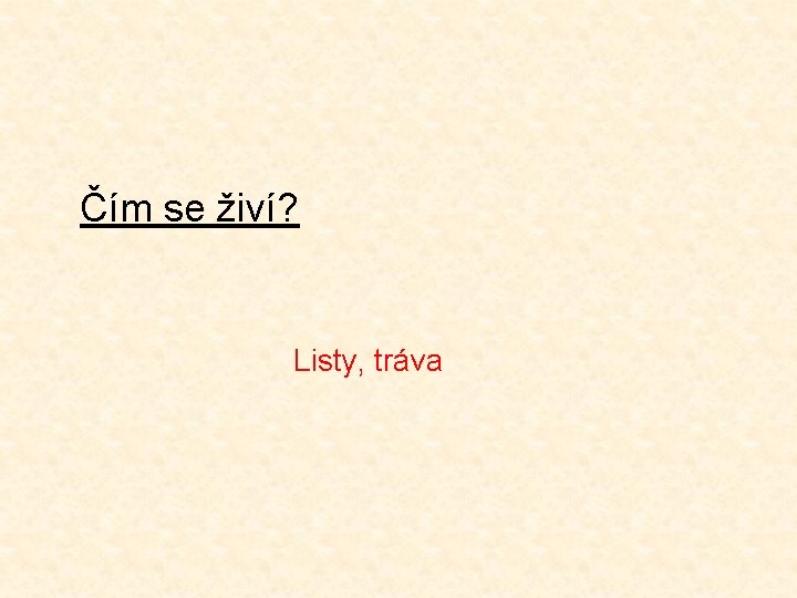 Čím se živí? Listy, tráva 