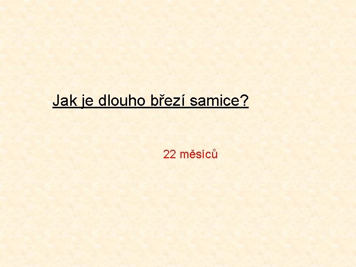 Jak je dlouho březí samice? 22 měsíců 