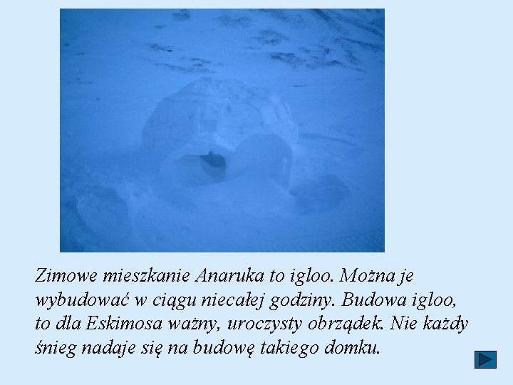 Zimowe mieszkanie Anaruka to igloo. Można je wybudować w ciągu niecałej godziny. Budowa igloo, Zimowe mieszkanie Anaruka to igloo. Można je wybudować w ciągu niecałej godziny. Budowa igloo,