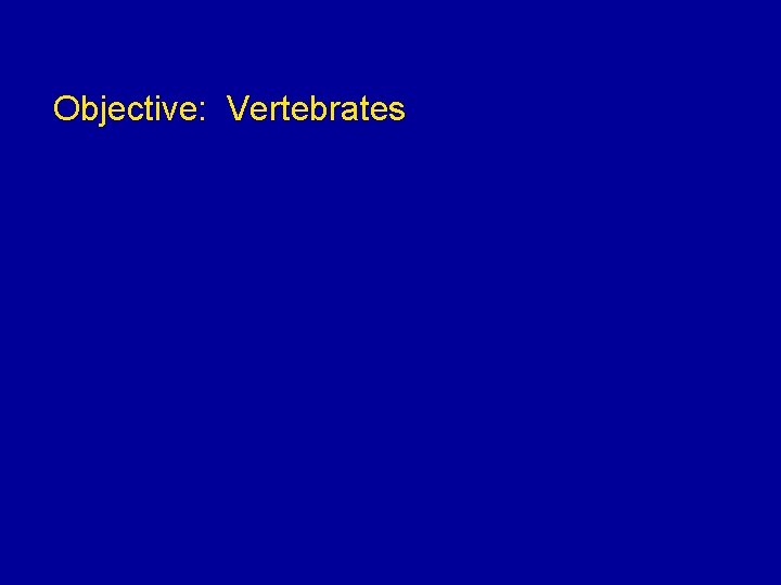 Objective: Vertebrates 