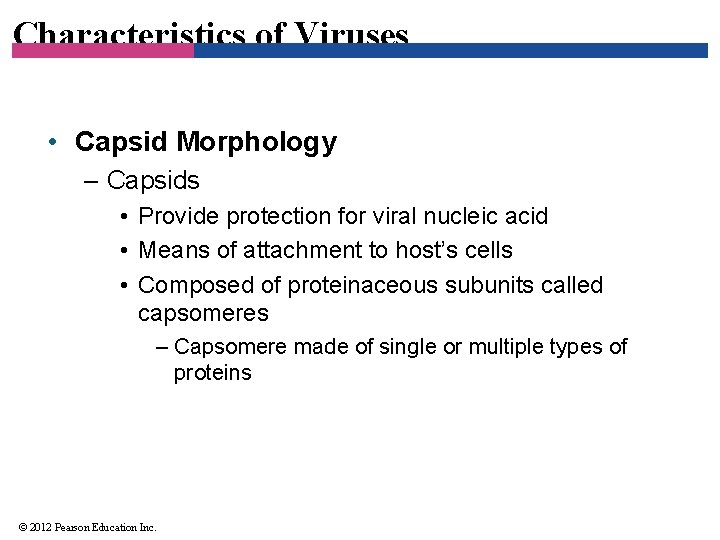 Characteristics of Viruses • Capsid Morphology – Capsids • Provide protection for viral nucleic