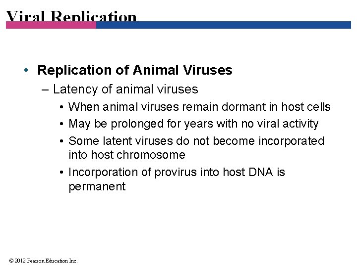 Viral Replication • Replication of Animal Viruses – Latency of animal viruses • When