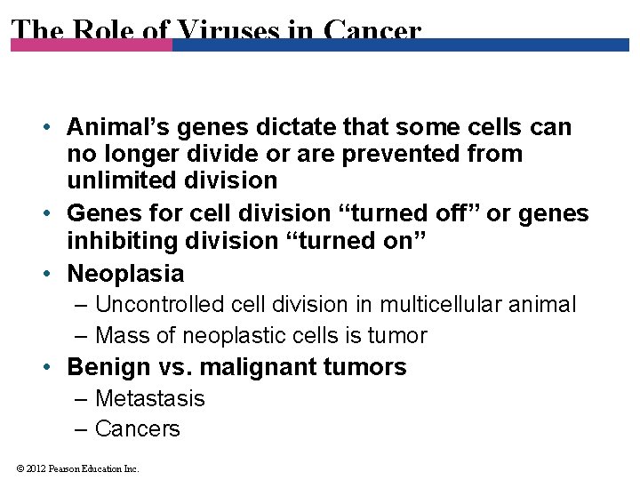 The Role of Viruses in Cancer • Animal’s genes dictate that some cells can