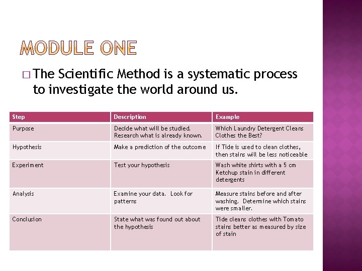 � The Scientific Method is a systematic process to investigate the world around us.