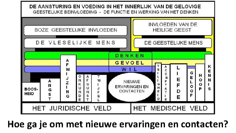 Hoe ga je om met nieuwe ervaringen en contacten? 