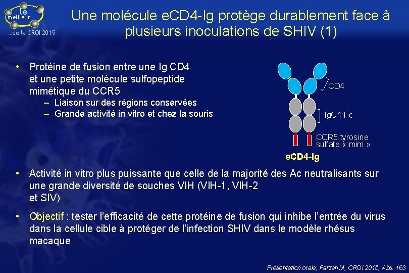 le meilleur …de la CROI 2015 Une molécule e. CD 4 -Ig protège durablement