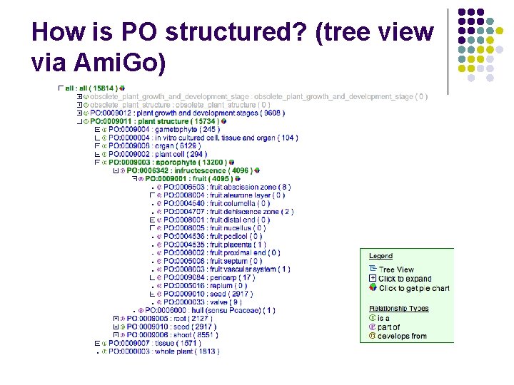 How is PO structured? (tree view via Ami. Go) 