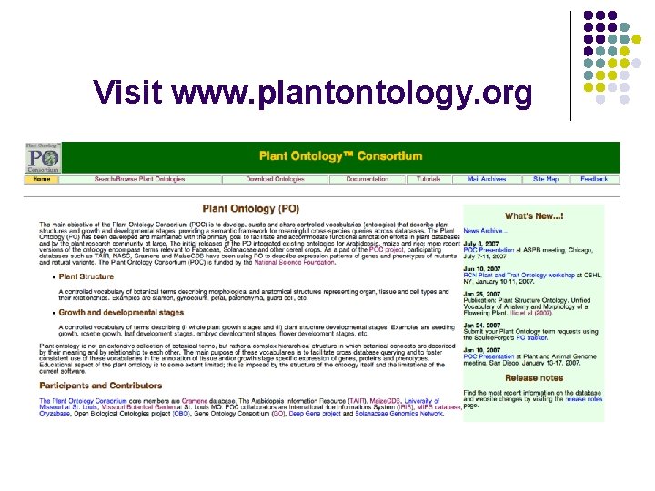 Visit www. plantontology. org 