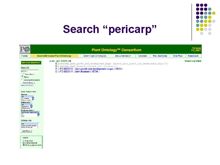 Search “pericarp” 